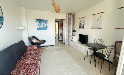 Beau T2, residence fermée,parking privatif, totalement renové et traversant