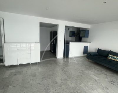 T3 rénové face mer, terrasse,garage,cave et à proximité du centre-ville, de la plage et des commerces