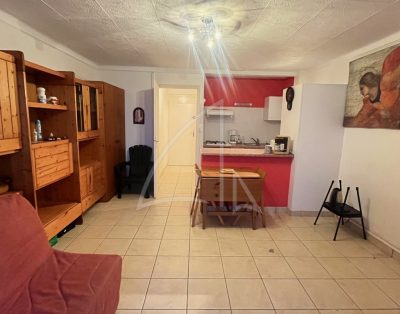 1ere ligne, studio, parking privatif en rdc et sa superbe terrasse de 58m²