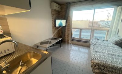Superbe studio rénové avec vue dégagé et parking privatif