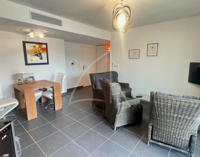 PALAVAS-LES-FLOTS / Appartement T3 / Appartement récent et spacieux avec terrasse de 80m² et place de parking privative